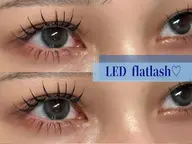 【練習モデル】LEDエクステ3月限定🩵100本(オフ代1100円)