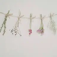 minimo初回限定価格♡オフのみ