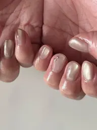 【オフなし】定額｜design simple🐶