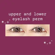 【上下】パリジェンヌorまつ毛パーマ🩰束感コーティング仕上げ💎