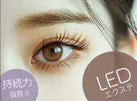 〈4月限定〉【LED】Flat lash 120本 / オフなし