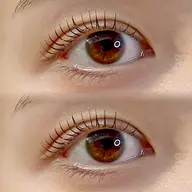 ラッシュリフト上下セット