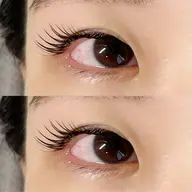 セーブル　160本