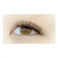 🌻LEDエクステ🌻Wラッシュ120束【オフ込】