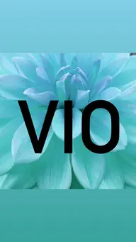 《VIO脱毛》¥9900回数：1回