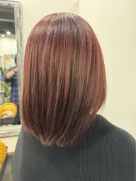 シングルカラー🐺+コアミー4stepトリートメント✨１ヶ月分のホームケアトリートメント付き