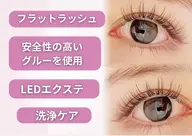 フラットラッシュ120本(こだわりグルー使用)