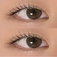 マツパ(上限定)