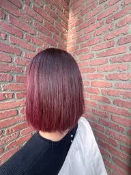 イルミナカラー🌈  平日限定