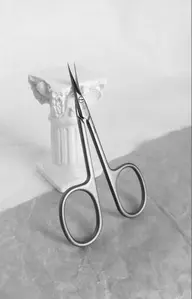 𝘳𝘦𝘱𝘢𝘪𝘳