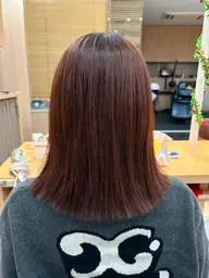 【5名様限定✨】 カット+ワンカラー🩷+1stepトリートメント