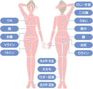 【初回お試し】レディース全身脱毛・お顔/VIO込み