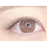 最高級セーブル🫧１２０本まで🫧