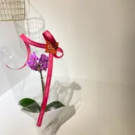 贅沢ハンドケアコース