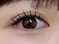 フラットラッシュ（上）100本オフ込み🐧コーティング付き🪄