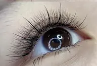 ワンホンデザイン★ボリュームラッシュ120本 ¥ 6500