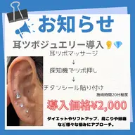 何回でも利用OK🎀SNSで話題の【耳ツボジュエリー】12パーツ(片耳6) ¥2000👂💎※お支払いは現金のみ