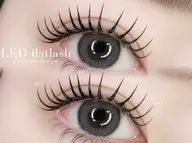 🧸【LEDマツエク】フラットラッシュ120迄🧚🏼束感コーティング付