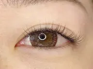 【ミニモ限定価格】フラットラッシュ80本