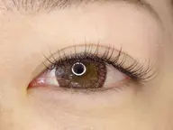 フラットラッシュ120本