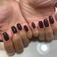 🦋ワンカラーオフ込み🦋