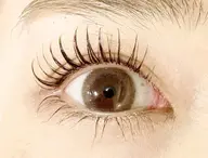 🎨🍨パリジェンヌラッシュリフト上下🍨🎨コーティング付🪄¥8280