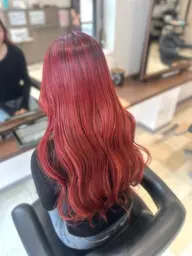 ¥7000レッド系ダブルカラー（現金支払いのみ）