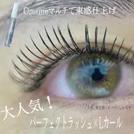 パーフェクトラッシュ80束