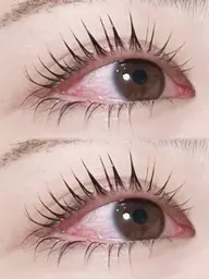 パリジェンヌラッシュ上下