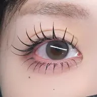 フラットラッシュ160本🐈🤎