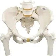 まずは土台から改善❢身体の歪み改善、太ももの張り改善と小尻になります🩶骨盤矯正ケアストレッチ 30分☺