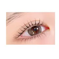 上下ラッシュリフト