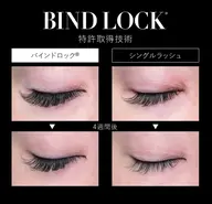 【バインドロック　60束】オフ有り★初回お試しにオススメの60束です。