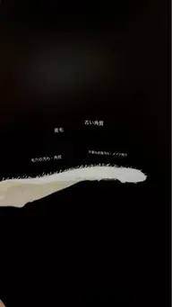 フェイスワックス(全顔) ※動画撮影にご協力いただける方