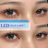 【練習モデル】LEDエクステ11月限定🩵100本(オフ代1100円)