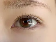 🌸平日限定🌸まつげパーマ5000円　すぐ予約のみ