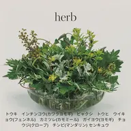 温活 代謝促進!冷え対策コース/80分