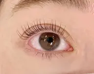 ［新規］パリジェンヌラッシュリフト