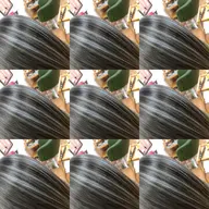 ブリーチ回数ご相談ください。グラデーションカラー、Wカラー、ハイライトメッシュなどを織り交ぜたメニューです^ - ^
