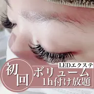 【初回】💡最新LEDエクステ💡ボリュームラッシュ 1時間付け放題(100~300本前後)【技術up練習モデル】