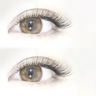 シングル付け足し40分付け放題