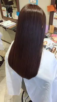 カット、プレミアム縮毛矯正、トリートメント