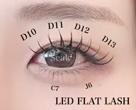 【学生クーポン】大人気！オフ込みLED 2h上下つけ放題↕️¥8.900