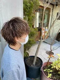 【雰囲気を変えたい方へ🌟】カラー&ハイライト&トリートメント🌙