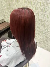 ワンカラー＋トリートメント