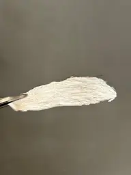 【全顔フェイスWax🌼45%off💕】計８ヶ所(額、眉間、頬、こめかみ、鼻、鼻下、口下、顎下)