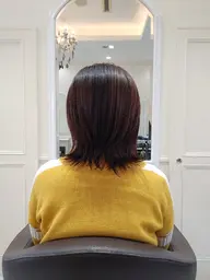 カット+超音波トリートメント