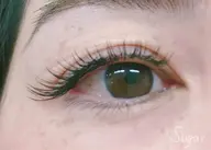 フラットラッシュ無制限つけ放題