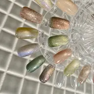 【オフなし】うるうるマグネットワンカラー✨（パラジェル使用）