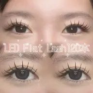 LEDフラットラッシュ100本